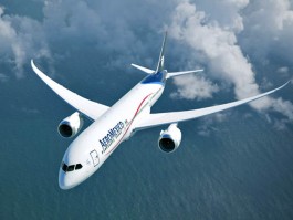 Aeromexico primée en Europe pour son service de restauration